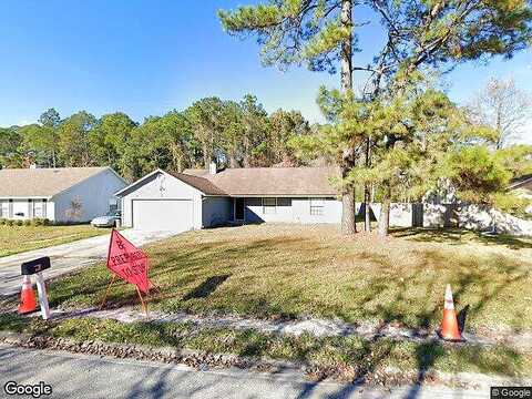 Bee, ORANGE PARK, FL 32065