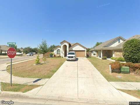 Snow, MANOR, TX 78653