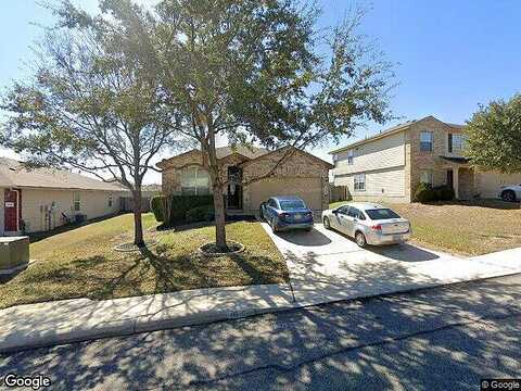 Wayward Daisy, SAN ANTONIO, TX 78245