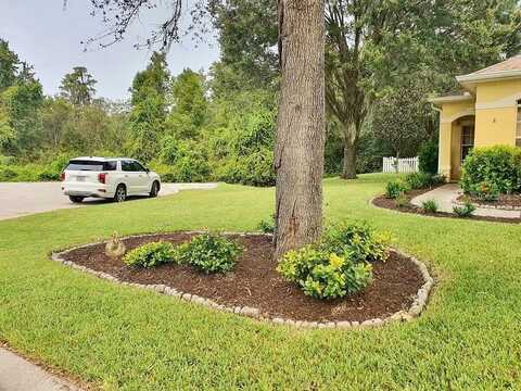 Bathgate, NEW PORT RICHEY, FL 34654