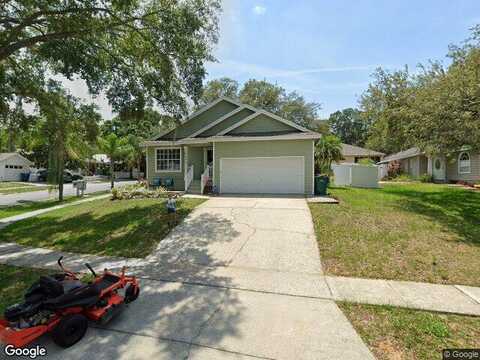 Lake Elsie, TAVARES, FL 32778