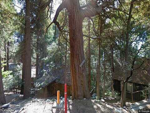 Big Tree, CRESTLINE, CA 92325