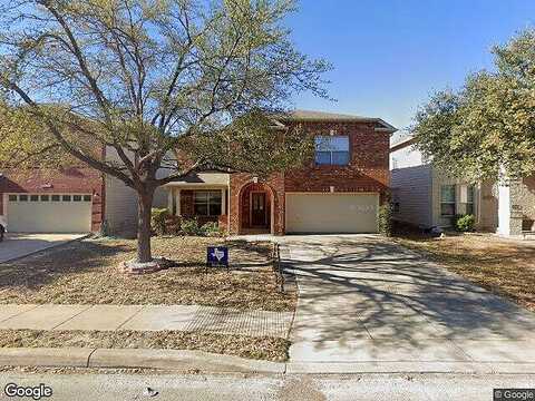 Butterfly, SAN ANTONIO, TX 78254