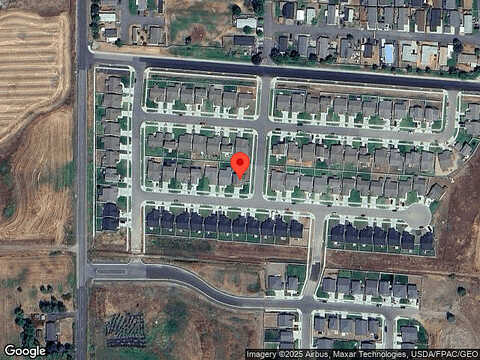 Lingonberry, CHENEY, WA 99004