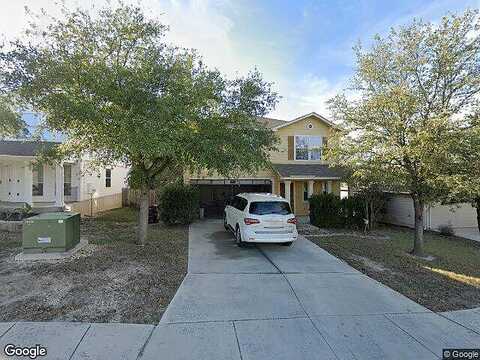 Daffodil, SAN ANTONIO, TX 78245