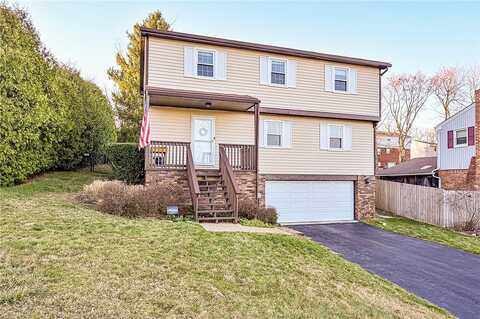 Douglas Fir, PITTSBURGH, PA 15239