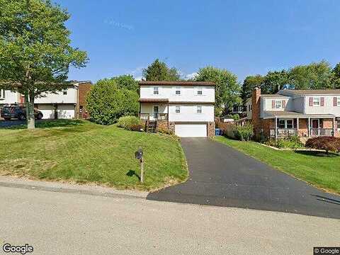 Douglas Fir, PITTSBURGH, PA 15239