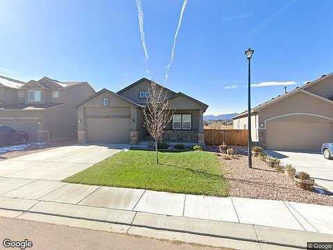 Bigtooth Maple, COLORADO SPRINGS, CO 80925