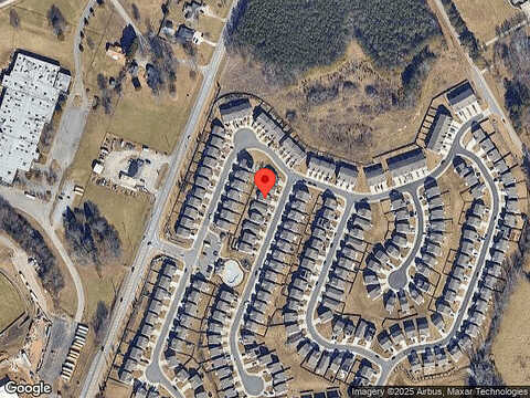 Aster, OAKWOOD, GA 30566