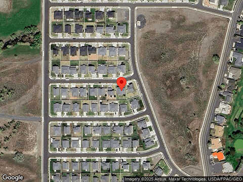 Cottontail, MOSES LAKE, WA 98837