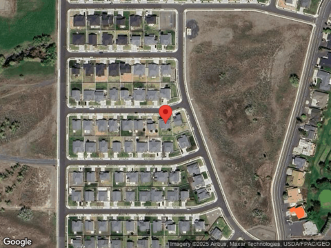 Cottontail, MOSES LAKE, WA 98837