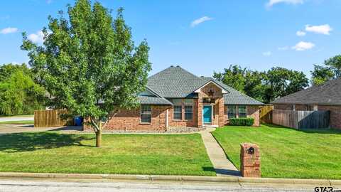 Silver, WHITEHOUSE, TX 75791