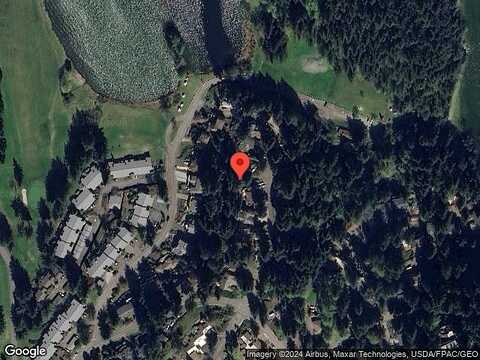 Orchid, BELLINGHAM, WA 98229