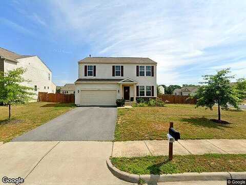 Nightbird, STEPHENS CITY, VA 22655