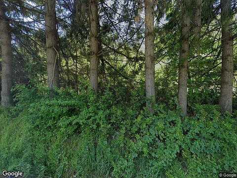 Mulino, CANBY, OR 97013