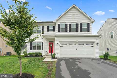 Interlace, STEPHENSON, VA 22656