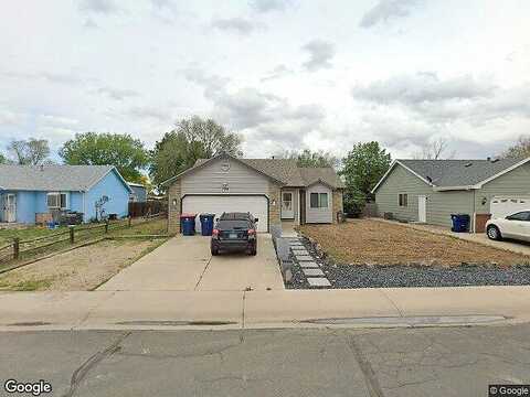 Olive, MILLIKEN, CO 80543