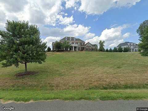 Lupine, STAFFORD, VA 22556