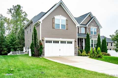 White Daisy, MOSELEY, VA 23120
