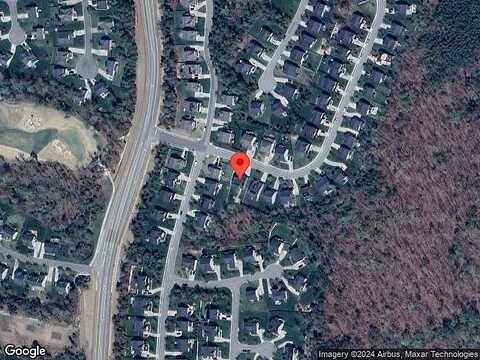 White Daisy, MOSELEY, VA 23120