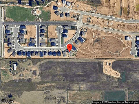 Jasmine, BRIGHTON, CO 80602