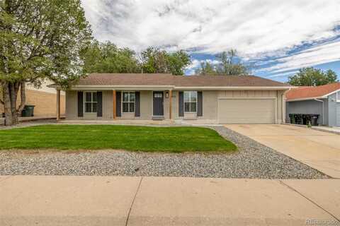Dexter, THORNTON, CO 80241
