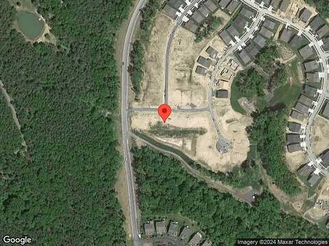 Flycatcher, LAKE FREDERICK, VA 22630