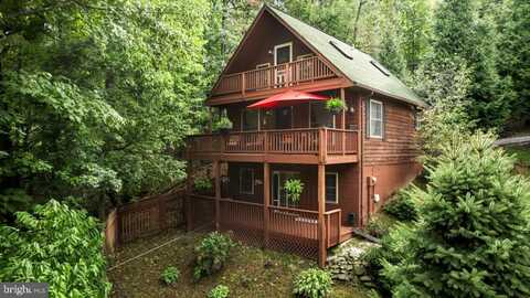 Salt Lick, FRONT ROYAL, VA 22630