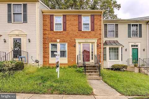 Lambkin, LORTON, VA 22079