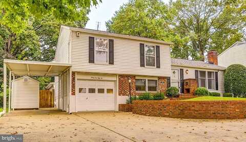 Annandale, FALLS CHURCH, VA 22042