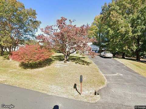 Runaway, GREAT FALLS, VA 22066