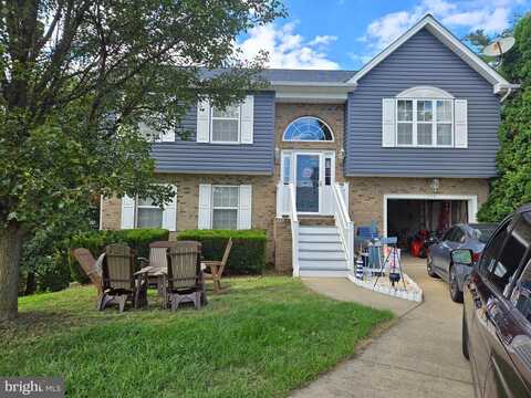 Trefoil, WINCHESTER, VA 22602