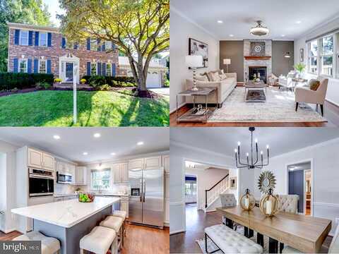 Golden Aspen, SPRINGFIELD, VA 22153