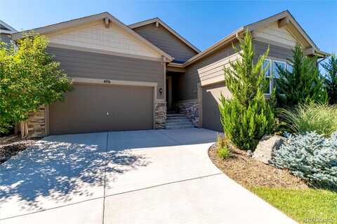 Daylily, BRIGHTON, CO 80601