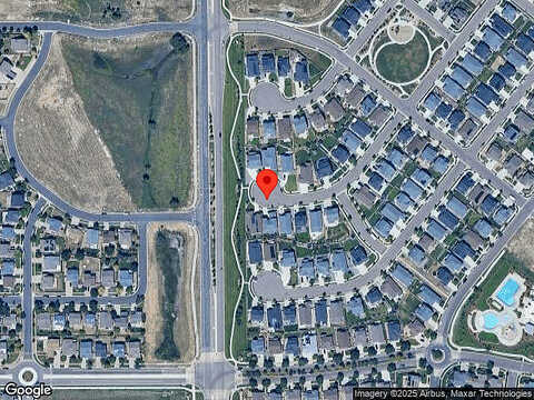 Daylily, BRIGHTON, CO 80601