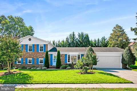 Ayrlee, LEESBURG, VA 20176