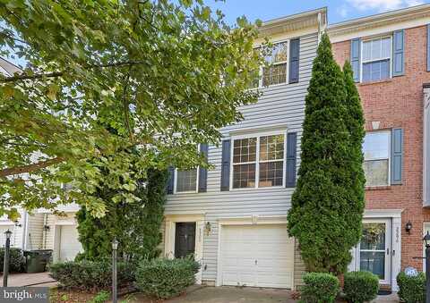 Forsythia, CULPEPER, VA 22701