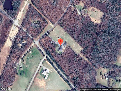 White Pine, BEAVERDAM, VA 23015