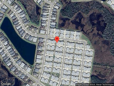 Parrot, DAYTONA BEACH, FL 32124