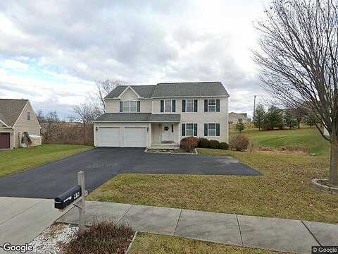 Waterfowl, ELIZABETHTOWN, PA 17022