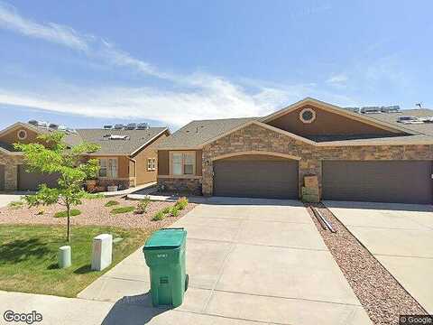 Potentilla, COLORADO SPRINGS, CO 80908
