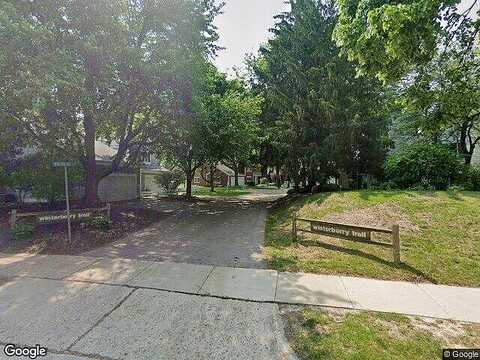 Winterberry, MADISON, WI 53717