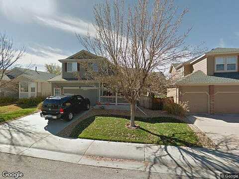 Tiger, LONE TREE, CO 80124