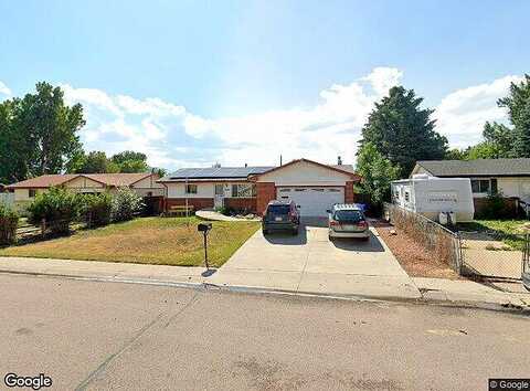 Indianpipe, COLORADO SPRINGS, CO 80918