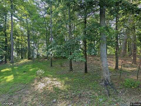 Arbor, HUDDLESTON, VA 24104