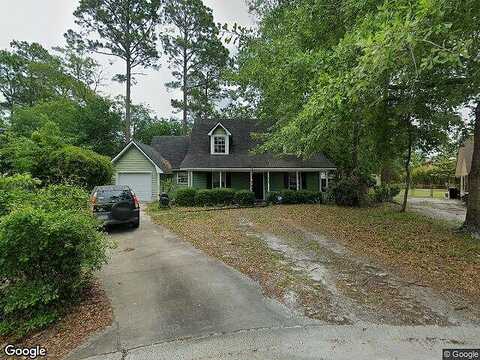 Pintail, HINESVILLE, GA 31313