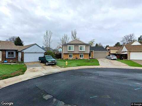 Larkbunting, FORT COLLINS, CO 80526