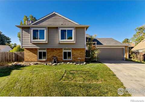 Larkbunting, FORT COLLINS, CO 80526