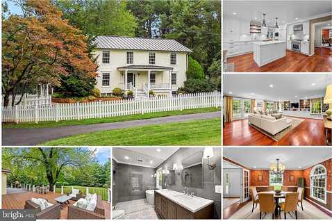 Springvale, GREAT FALLS, VA 22066