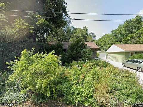 Forsythia, MADISON, WI 53705